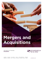 SCHINDHELM_BF_Mergers-Acquisitions_23_EN.pdf